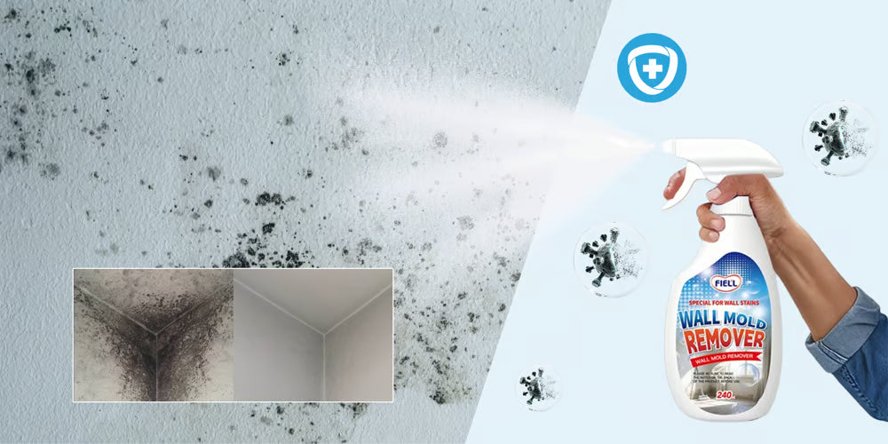 Küf Sorunu Neden Tekrar Ediyor? 7 Gizli Sebep + Kalıcı Önlem